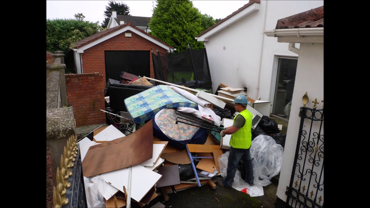 Professional junk removal team at work