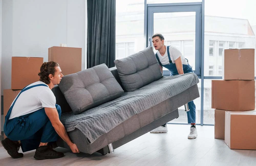 Furniture Removal
