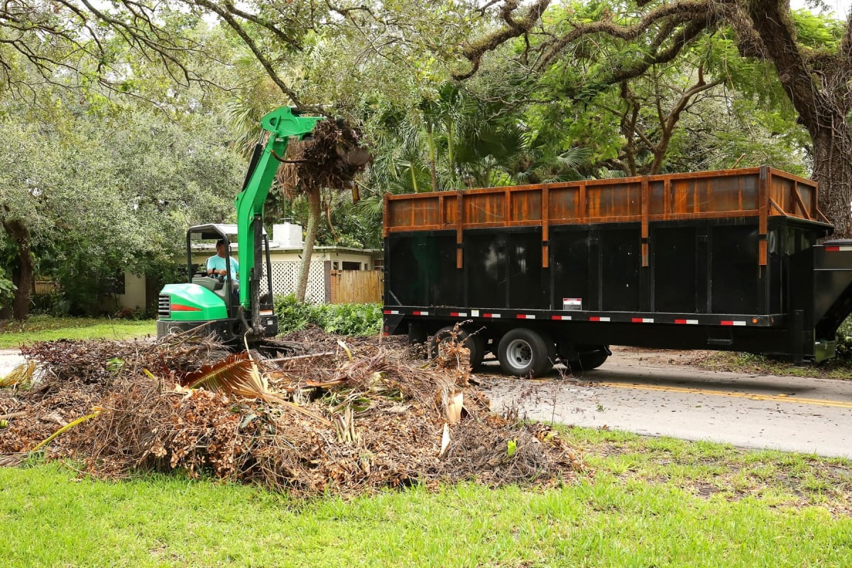 Yard Debris Removal